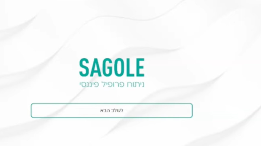 צילום מסך מתוך מערכת סגולי