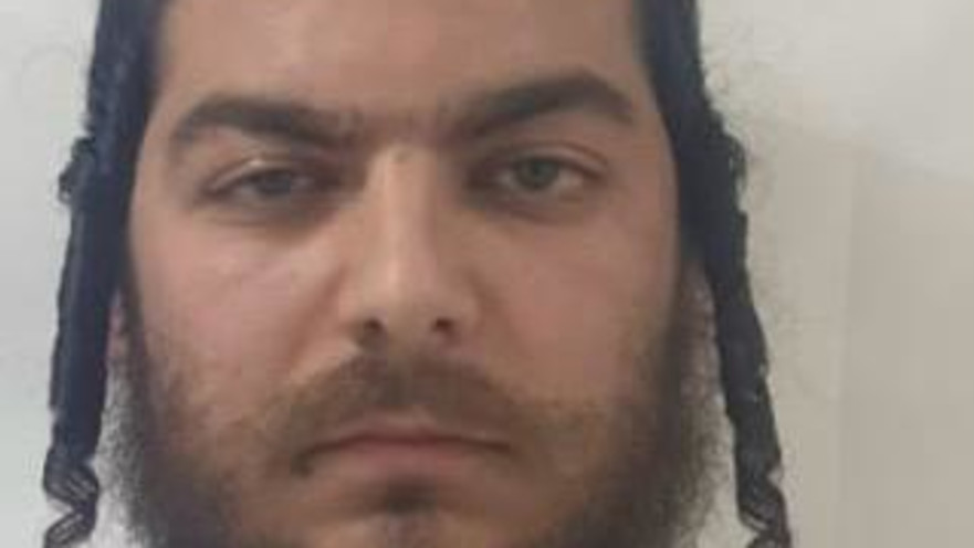  מאיר גרינשטיין