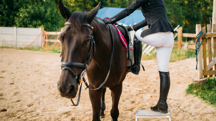 גבר טען: "אשתי מעדיפה רכיבה על סוסים על פני"