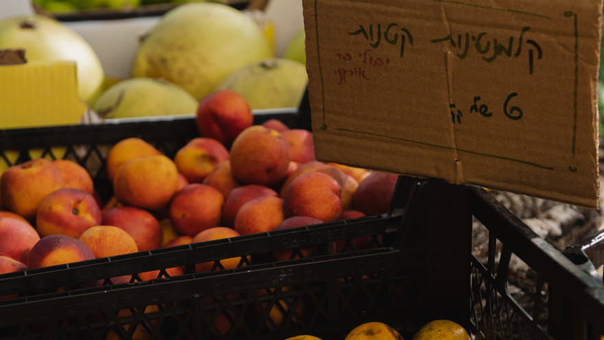 שבוע "מאדמה לאדם"