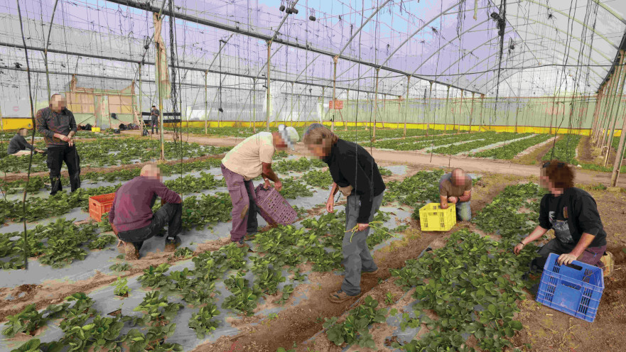 חקלאים בעוטף