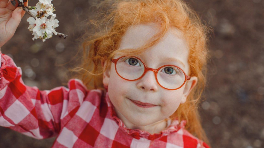 שקדיות בגולן 