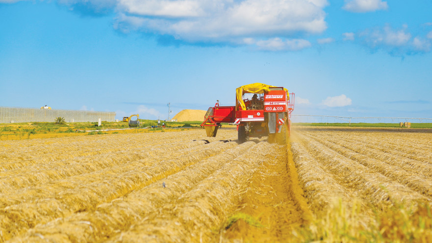 טרקטור חורש בשדות 