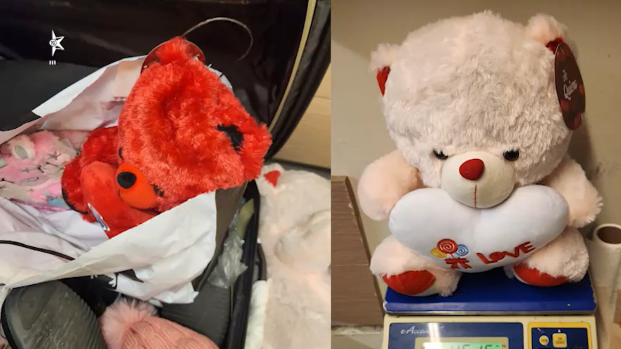 דובונים שנתפסו בנתב"ג עם סמים בתוכם