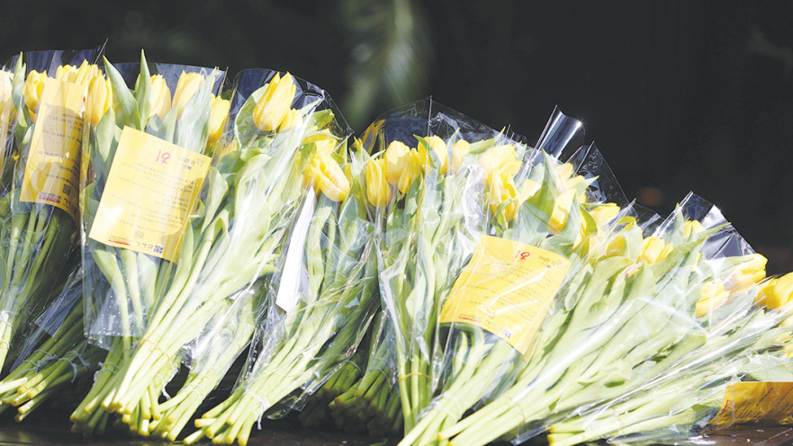 פרויקט 'זר תקווה' בבנק הפועלים