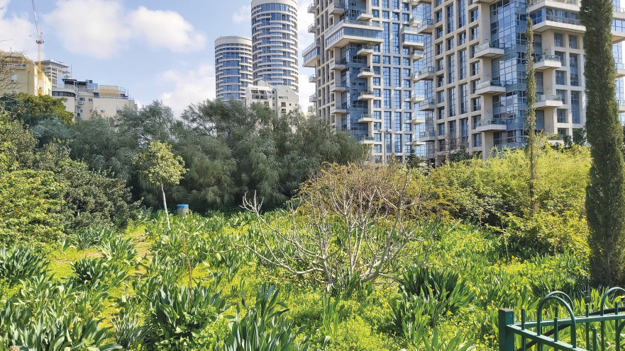 חורשת יד לבנים ת"א