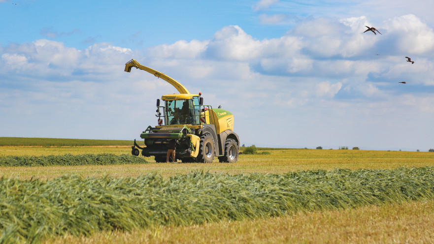 חקלאים עובדים בדרום