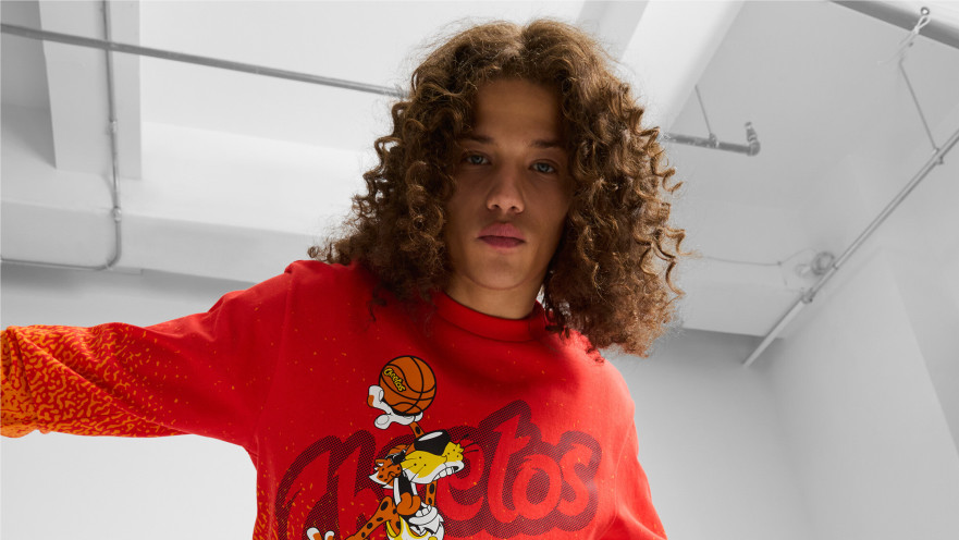 פומה וצ'יטוס