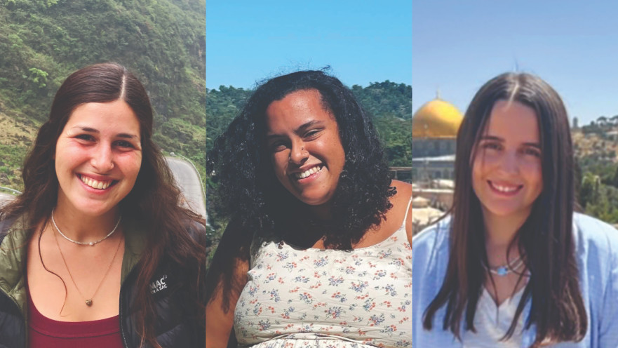 קהילת בנות זוג של לוחמי מילואים