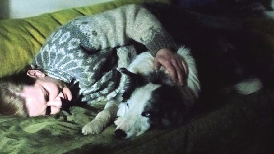 אנטומיה של נפילה