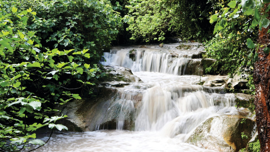 האתר אחרי השיקום