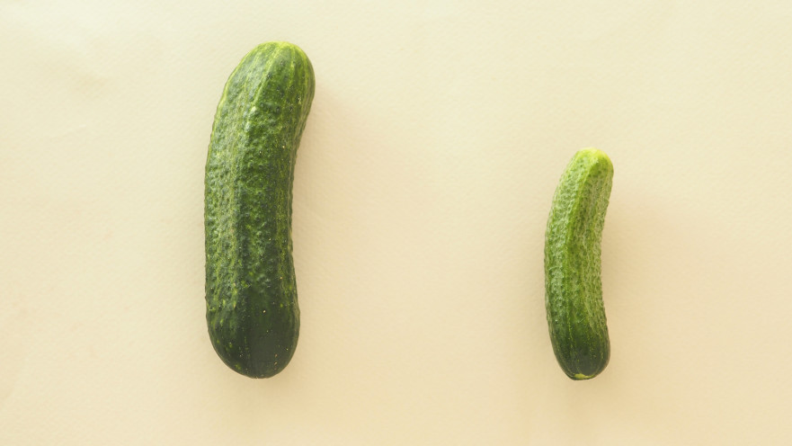 לפרק את הבית בגלל גודל הפין של הבעל?