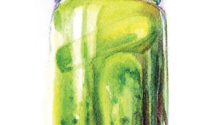 מלפפונים חמוצים