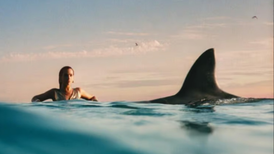 דואה ליפה חוזרת. עטיפת האלבום Radical Optimism