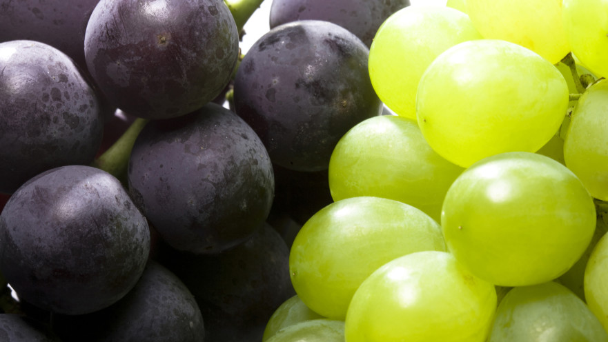 ענבים
