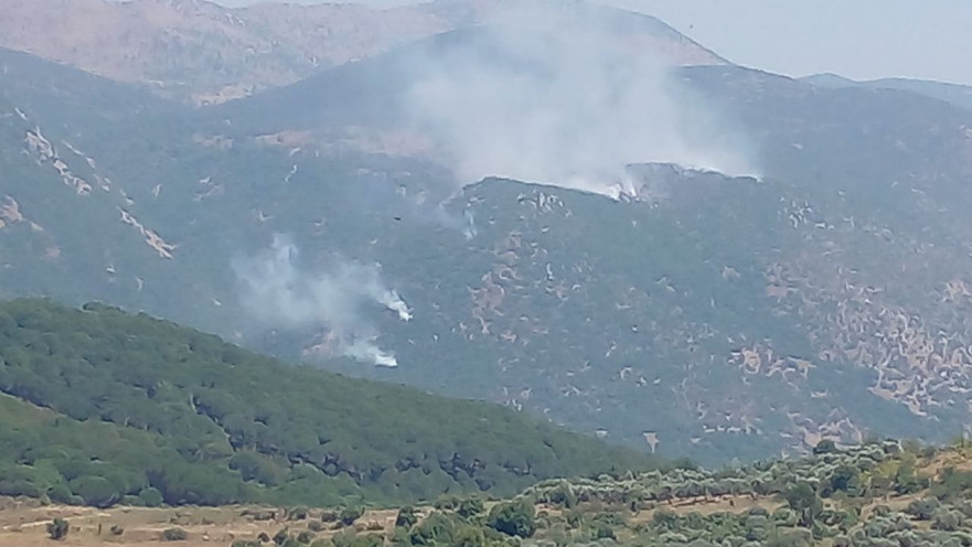 כפר שבעא עולה בלהבות 