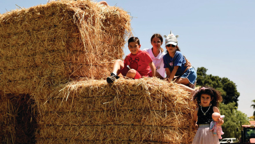 שבועות בסוד הפלא הקיבוצי