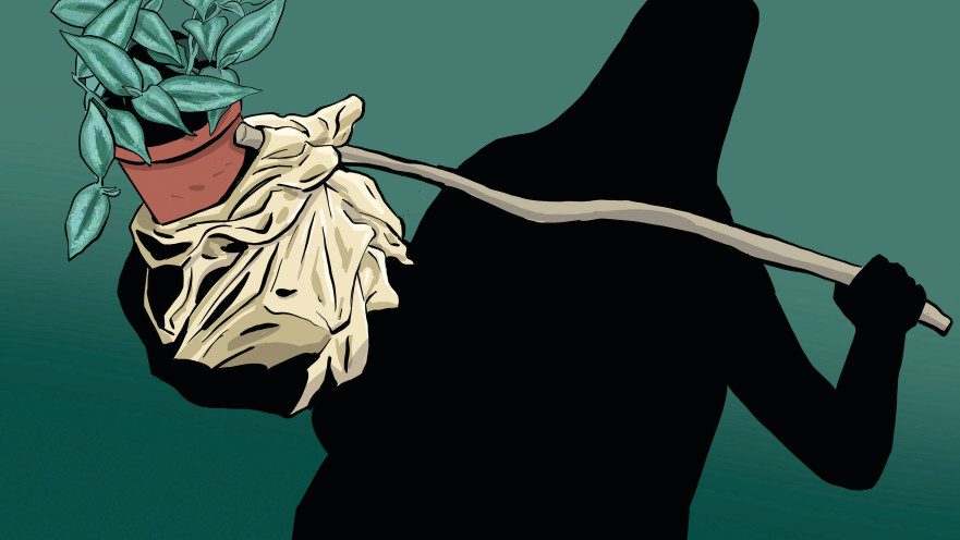 פעם אחת מצדה