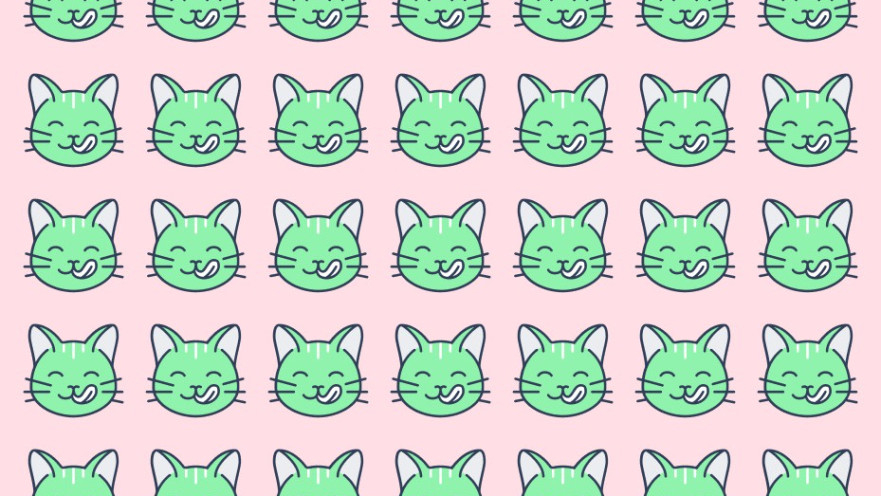 מצאו את החתול יוצא הדופן