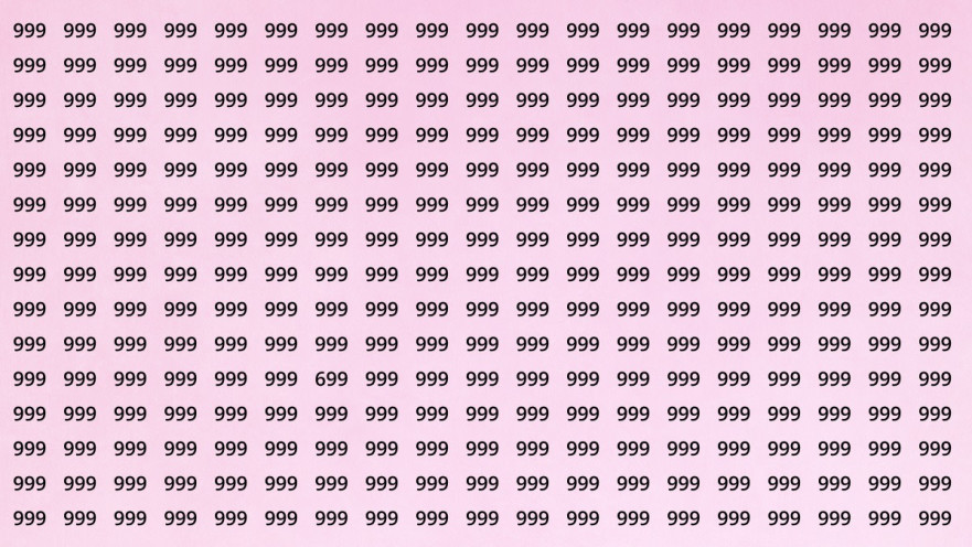מצאו את המספר 699