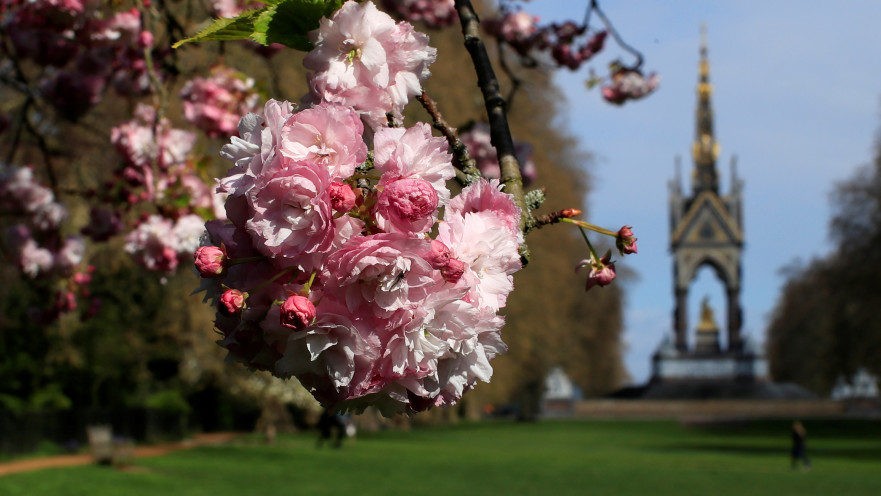 גני קנסינגטון המפורסמים בלונדון