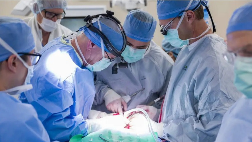 ניתוח השתלת הגרון. מבנים אנטומיים מורכבים