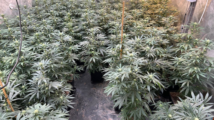 מעבדת סמים באופקים