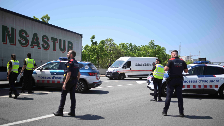 המבצע לאיתורו של פוג'דמון