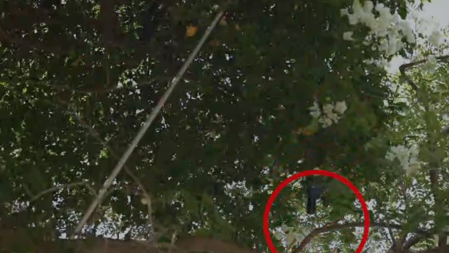 האקדח שנזרק מהגג