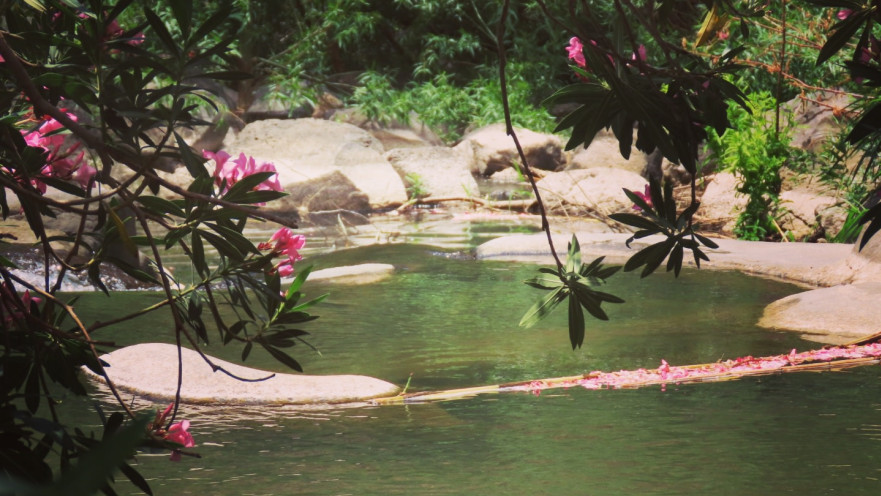 שמורת הטבע יהודיה