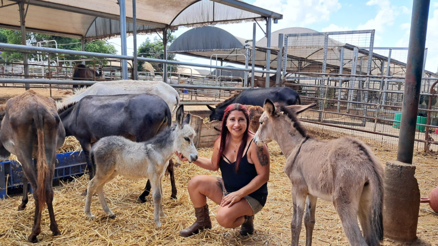 שרון כהן והחמורים בחווה