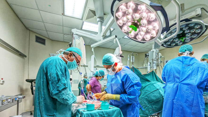 השתלת כליה מן החי. בטיחות מקסימלית (