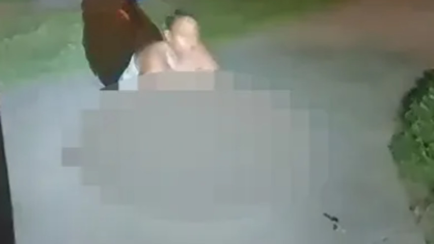 תועדה אוכלת את החתול של השכן