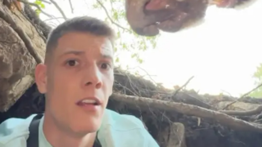 מפחיד: צילם עצמו במאורת דובים ואז הדוב הגיע