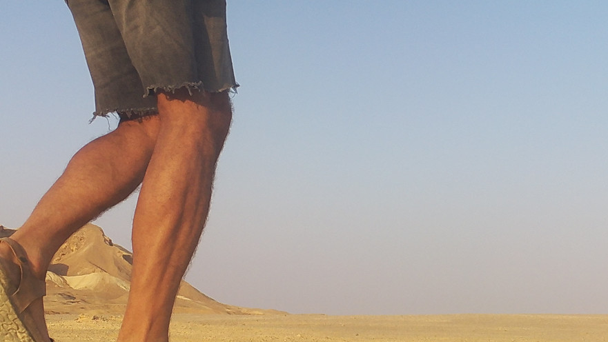 מטיילים בטבע