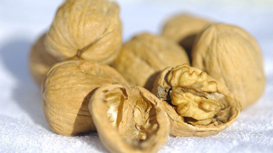 כדי להצליח בדיאטה הטבעונית יש להקפיד על צריכת אומגה 3. בתמונה: אגוזי מלך, עשירים באומגה 3