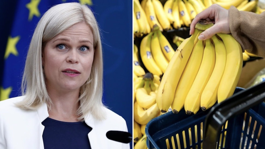 פאולינה ברנדברג, סובלת מפוביה נוראית