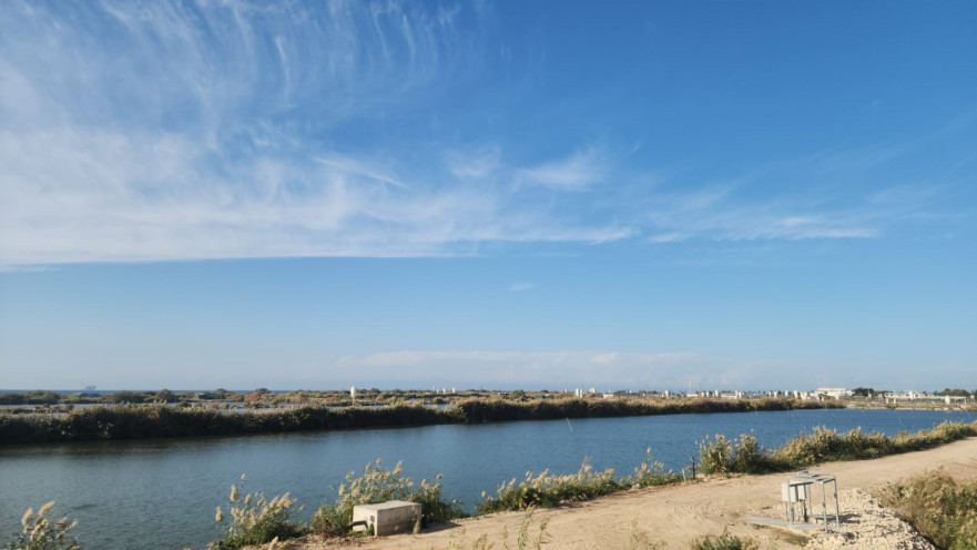 פארק הצפרות במעגן מיכאל