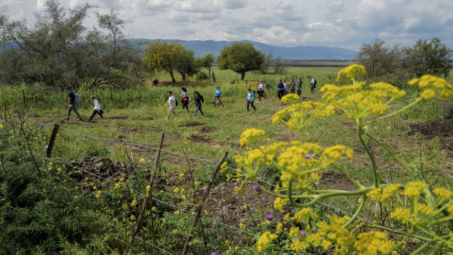 מזג אוויר חורפי ושמשי