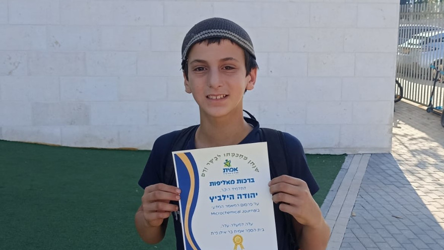 יהודה הילביץ 