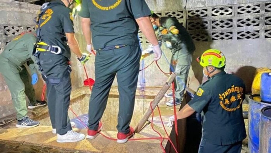 חמישה הרוגים במפעל לדגים