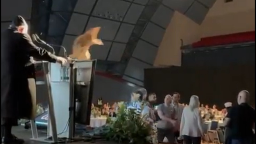 השלכת שק על גולדקנופף 