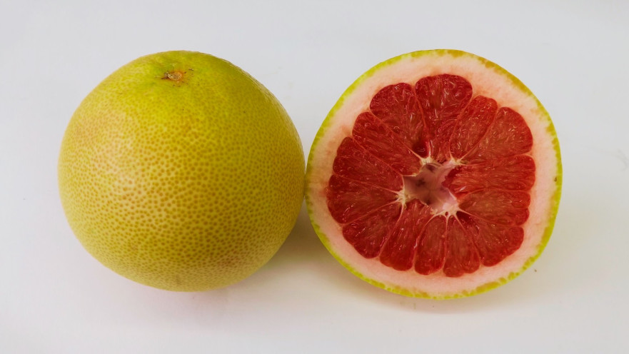 פומלית מזן רדסון