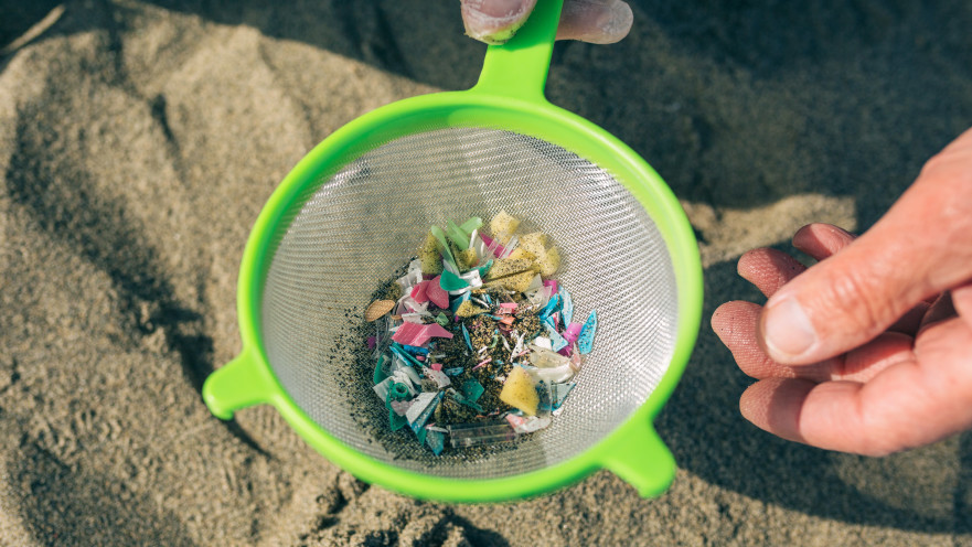 מיקרופלסטיק, אחת הסכנות הגדולות