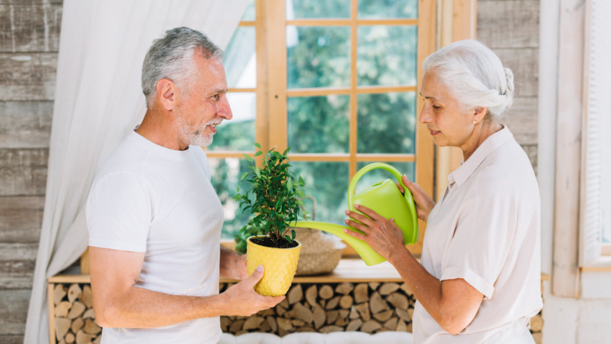 הפתרון הכלכלי לגיל השלישי: כל מה שצריך לדעת על משכנתא הפוכה