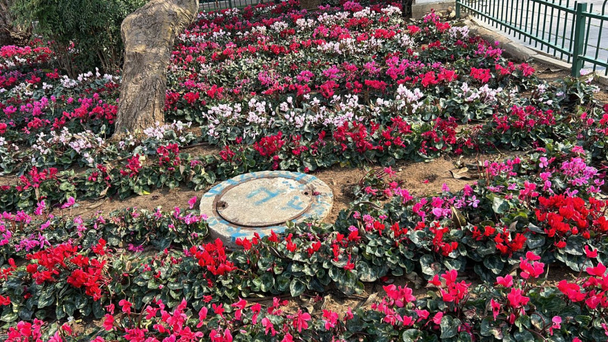 רמת גן פורחת