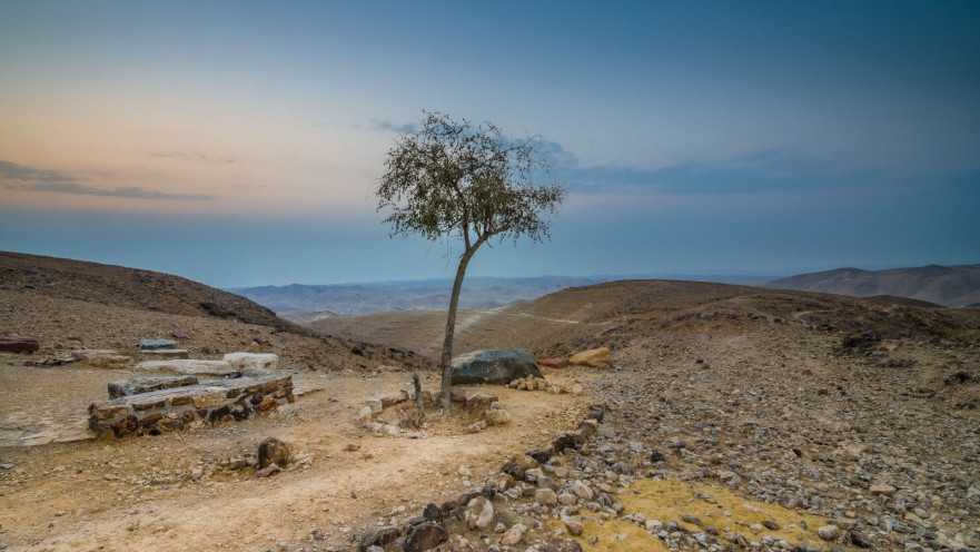 מצפה גורני, ערד