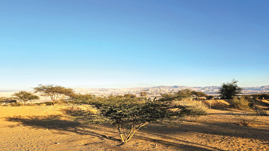 סיור בוטני לטו בשבט בנחל גידרון