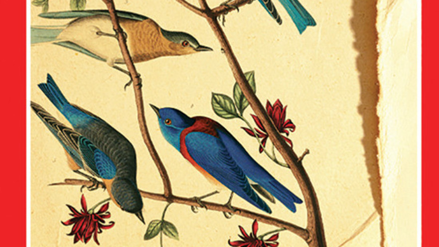 ספרה החדש של דורית רביניאן