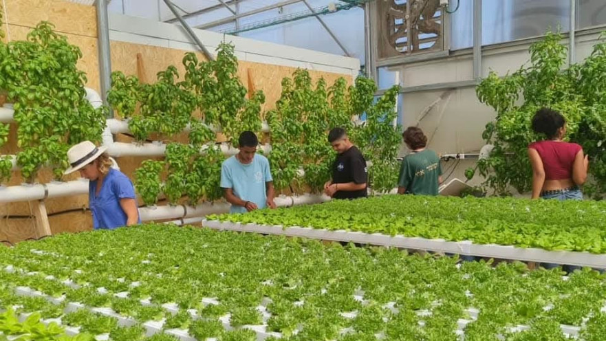 תלמידי רשת דרור בתי חינוך